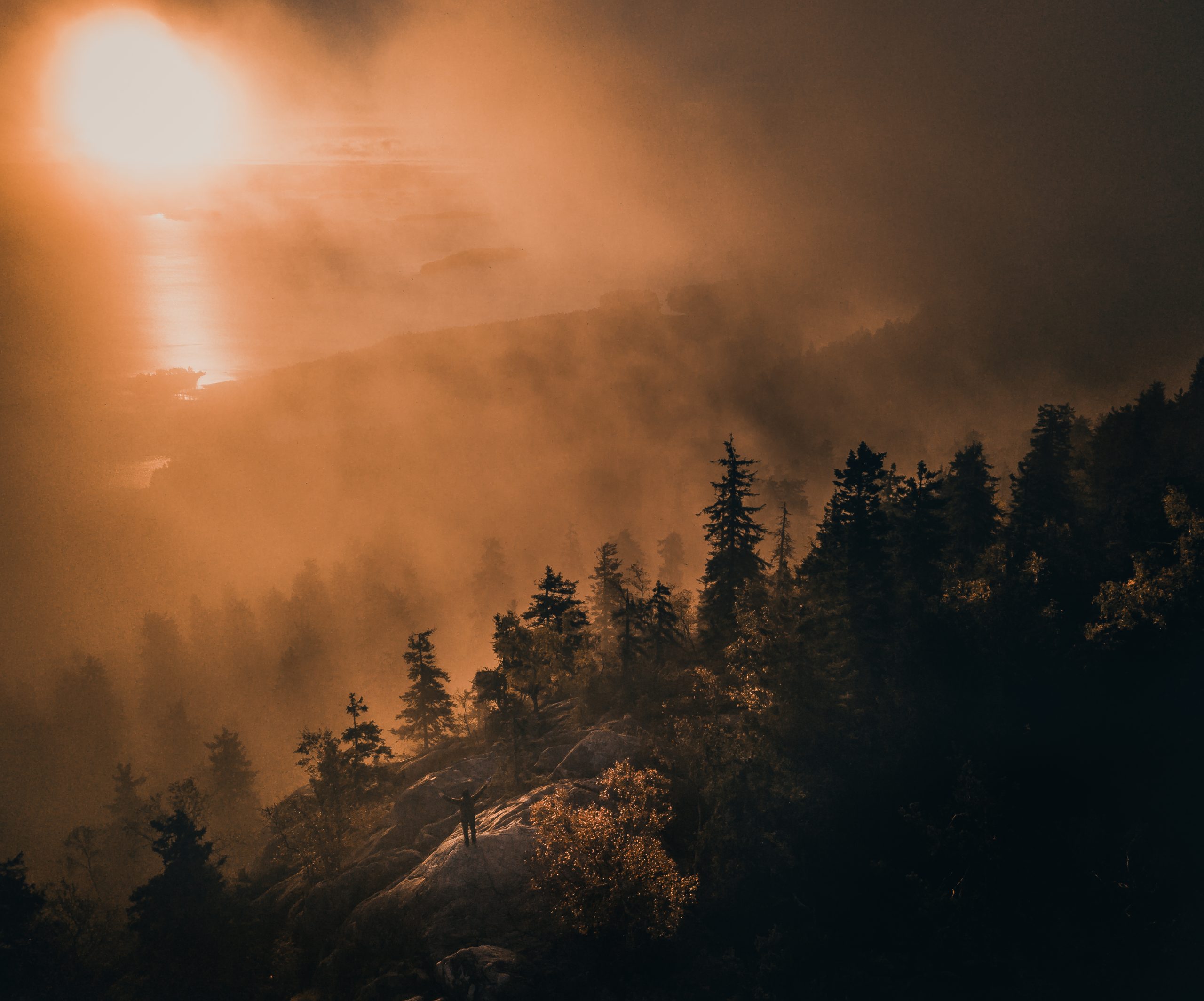 Sun shining over a misty forest
