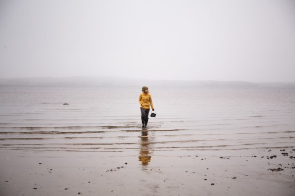 A person approaching from a misty lake