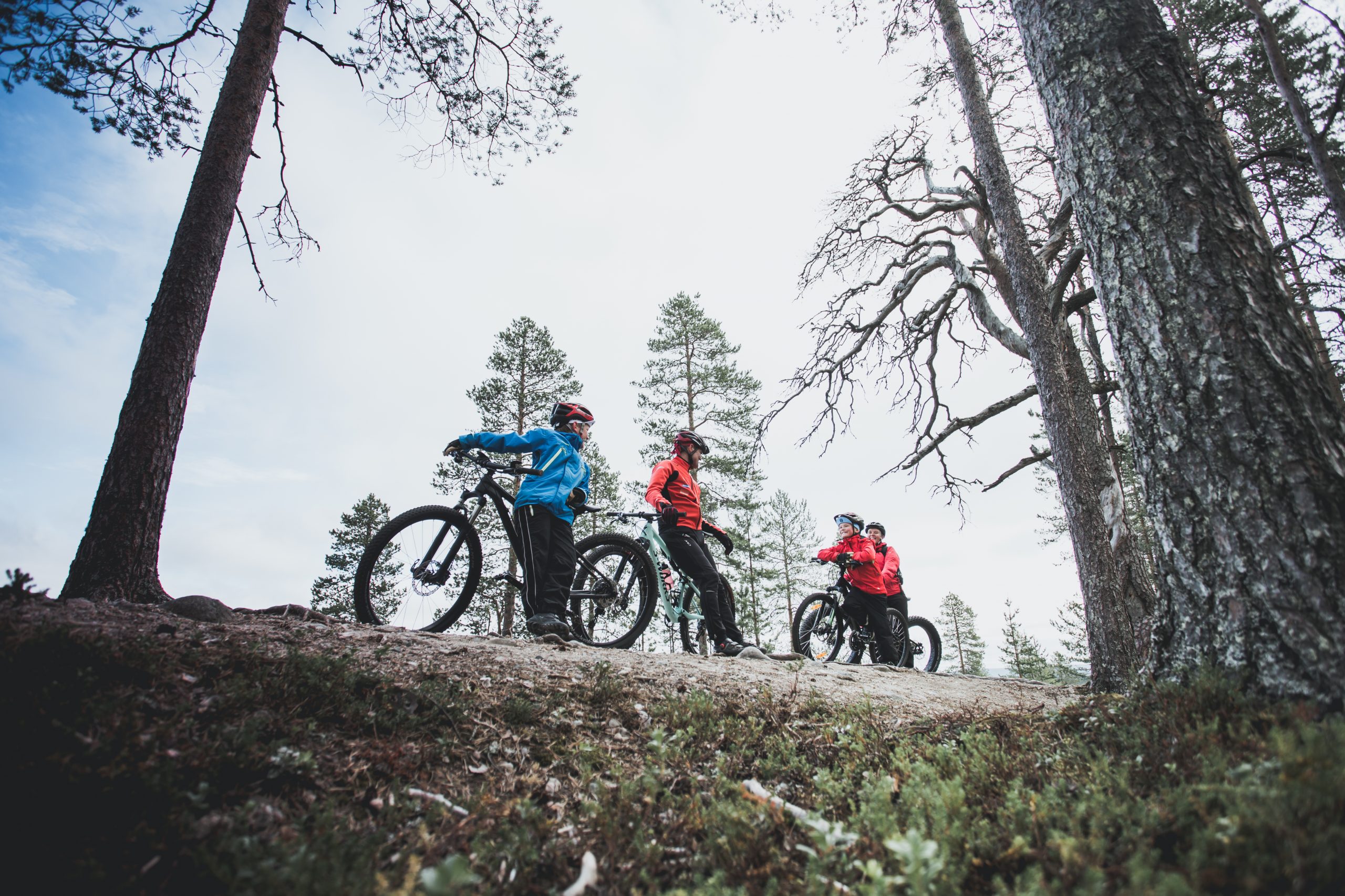 Four mountain-bikers taking a break